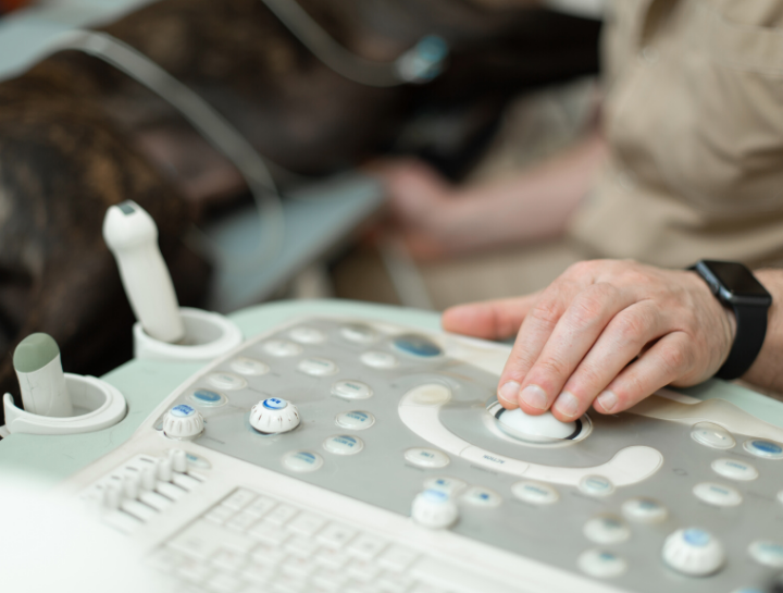 Echocardiography